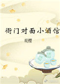 《衙门对面小酒馆》