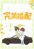《完美婚配》