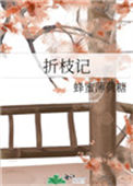 折枝记小说