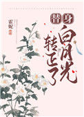 《替身白月光转正了》