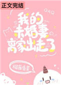 《我的未婚妻离家出走了》