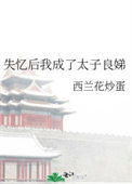 《失忆后我成了太子良娣》
