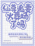 《仙尊追妻火葬场了吗》
