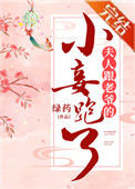 《夫人跟老爷的小妾跑了》