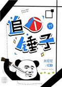 《追个锤子》