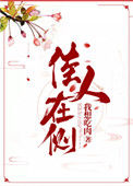 《佳人在侧》小说