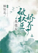 《失忆后被权臣娇养了》