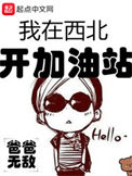 《我在西北开加油站》