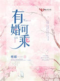 《有婚可乘》小说