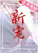 《新宠》