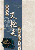 《苗疆少年又抢走和亲的九郡主啦》