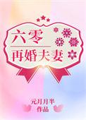 《六零再婚夫妻》