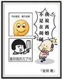《我说离婚不是在胡闹》
