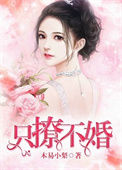 《只撩不婚》