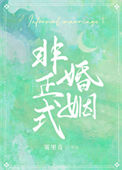 《非正式婚姻》
