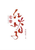 《七零红火小日子》