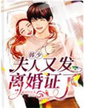 韩少，夫人又发离婚证了小说