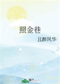 《照金巷》