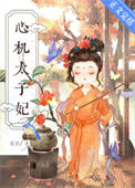 《心机太子妃》
