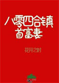 《八零四合镇首富妻》
