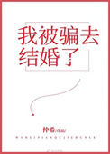 《我被骗去结婚了》