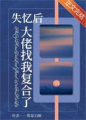 《失忆后，大佬找我复合了》