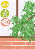 《小青梅[八零]》