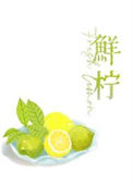 《鲜柠》