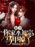 《封少,你家小祖宗马甲掉了》小说