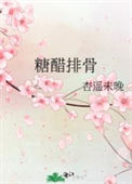 《糖醋排骨》