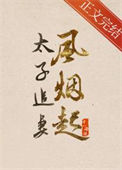 太子追妻风烟起小说