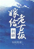 《嫁给科研老古板》
