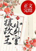 《摄政王的小外室》
