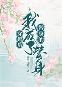 《穿越后我成了替身的替身》
