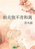 《前夫他不肯和离》小说