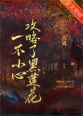 《一不小心攻略了黑莲花》