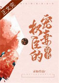 《权臣的宠妻（穿书）》