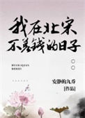 《我在北宋不差钱的日子》
