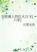《戈壁滩上的红火日子[六零]》