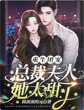 《重生团宠：总裁夫人她太甜了》