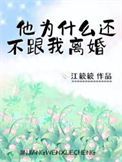 《他为什么还不跟我离婚》小说