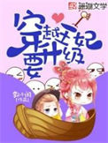 《穿越王妃要升级》小说
