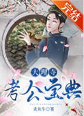 《大理寺考公宝典》小说