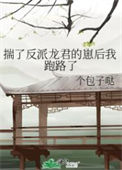 《揣了反派龙君的崽后我跑路了》小说
