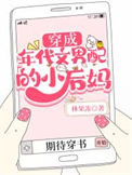 《穿成年代文男配的小后妈》小说