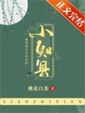 《小知县》