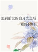 《追到前世的白月光之后》