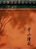 《青山撞我》