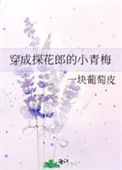 《穿成探花郎的小青梅》