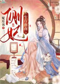《侧妃生存指南》